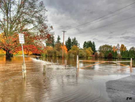 Comprehensive Guide to Flood Preparedness in the USA